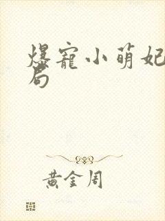 爆宠小萌妃大结局