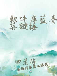 软件库蓝奏云合集链接