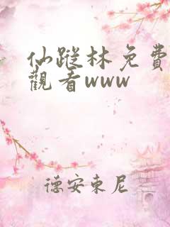 仙踪林免费在线观看www