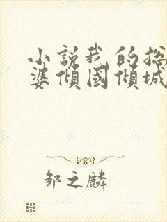 小说我的总裁老婆倾国倾城在线阅读