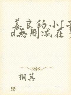 善良的小[子hd无删减在多少集