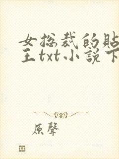 女总裁的贴身兵王txt小说下载