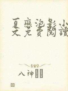 夏恋泡影小说全文免费阅读最新章节