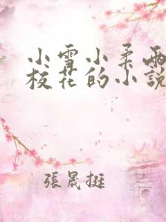 小雪小柔两个大校花的小说名字