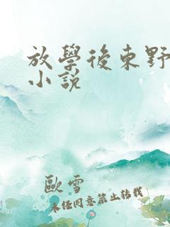 放学后东野圭吾小说