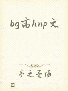 bg高hnp文
