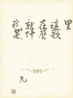 我就在这里等你是什么歌