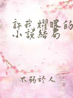 许我耀眼的原著小说结局