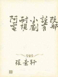 阿耐小说改编的电视剧有哪些