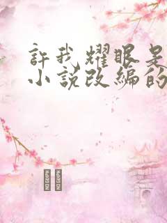 许我耀眼是什么小说改编的