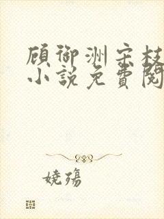 顾御洲宋枝意的小说免费阅读