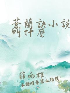 苍兰诀小说原著叫什么