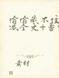 偷偷藏不住未删减全文+番外