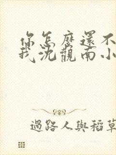 你怎么还不来哄我沈观南小说免费阅读