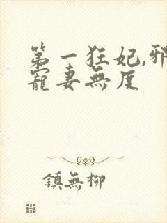 第一狂妃,邪王宠妻无度