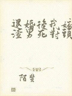 退婚后我嫁给了渣男死对头