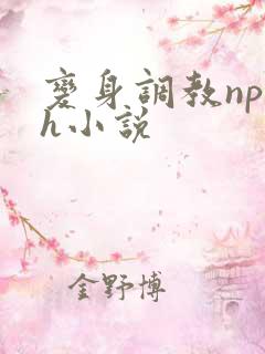 变身调教np高h小说