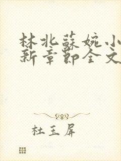 林北苏婉小说最新章节全文阅读