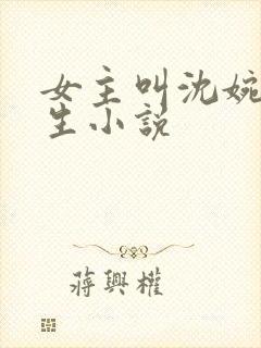 女主叫沈婉的重生小说