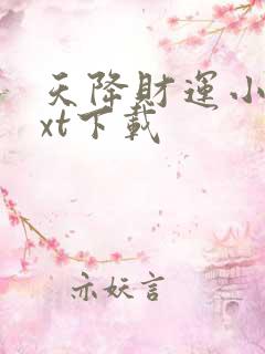 天降财运小说txt下载