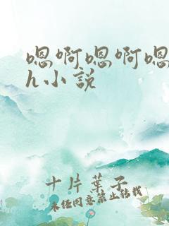 嗯啊嗯啊嗯啊高h小说