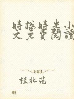 时总时光小说全文免费阅读