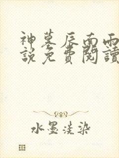 神墓辰南雨馨小说免费阅读无弹窗