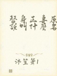 替身正妻原著小说叫什么名字