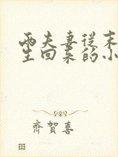 两夫妻从末世重生回来的小说