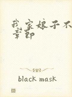 我家娘子不对劲章节