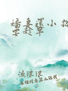 娇妻还小 总裁要趁早