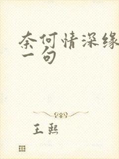 奈何情深缘浅上一句