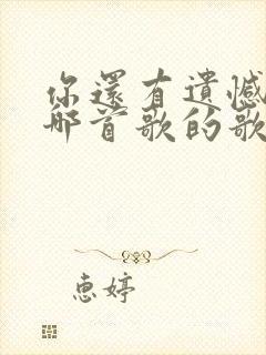 你还有遗憾吗是哪首歌的歌词