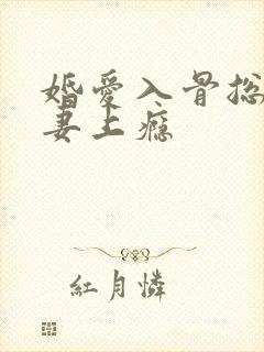 婚爱入骨总裁诱妻上瘾