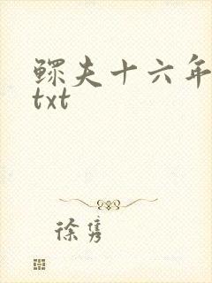 鳏夫十六年番外txt