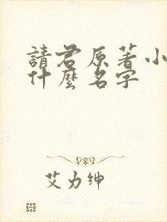 请君原著小说叫什么名字