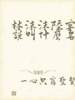 林沫沫陆宴泽小说叫什么名字