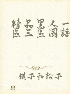 精品黑人一区二区三区国语馆