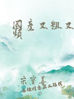 国产又粗又爽视频