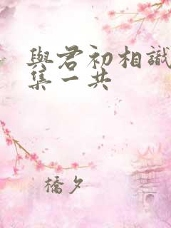 与君初相识多少集一共