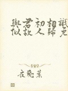 与君初相识,恰似故人归免费观看