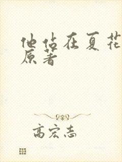 他站在夏花绚烂原著