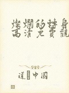 灿烂的转身短剧高清免费观看