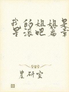 我的姐姐是大明星滚吧篇章一