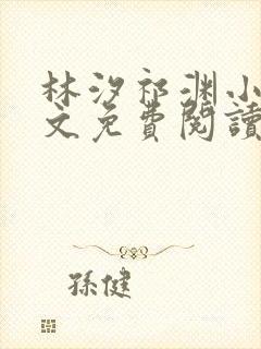 林汐祁渊小说全文免费阅读