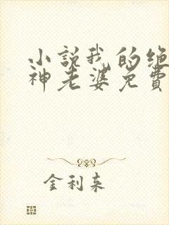 小说我的绝美女神老婆免费阅读全文