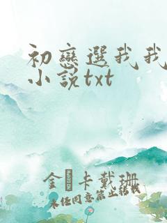 初恋选我我超甜小说txt