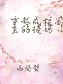 穿越成校园文男主的后妈 小说