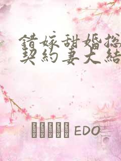 错嫁甜婚总裁的契约妻大结局