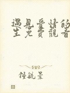 遇见爱情的利先生免费观看全集